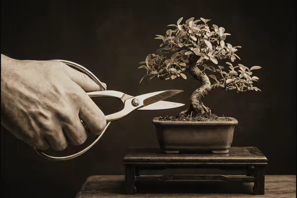 Cómo ser un buen líder: menos cualidades que cultivar, más errores que soltar